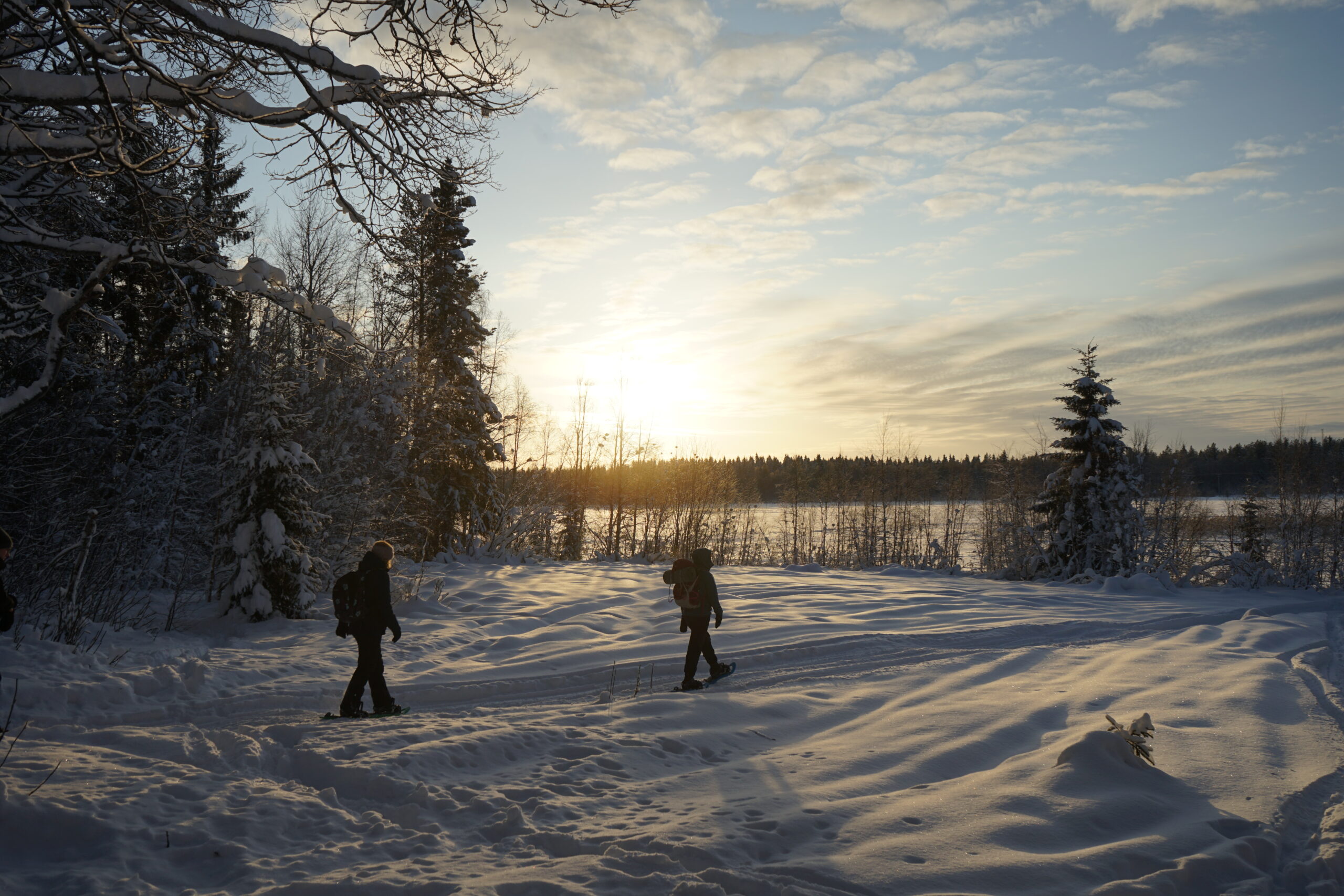 Snöskovandring i Luleå